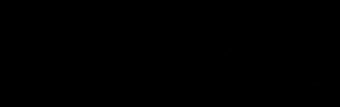 singhnoor logo