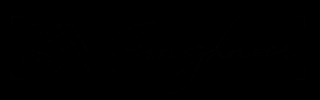 singhnoor logo